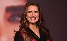 Waren Brooke Shields und der Tennisspieler Andre Agassi verheiratet? Details aus der Hulu-Dokumentation brooke shields