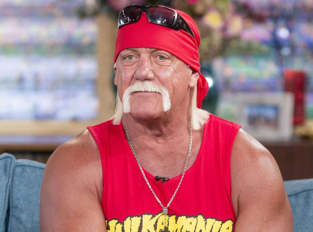 Wie hoch ist das Nettovermögen von Hulk Hogan im Jahr 2024? Hulk Hogan