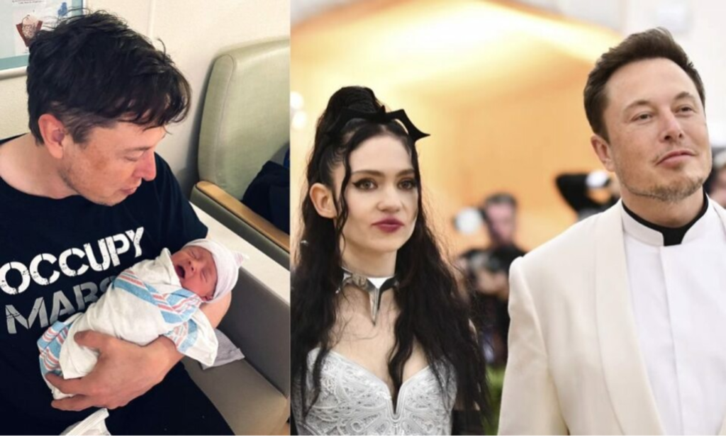 nevada alexander musk