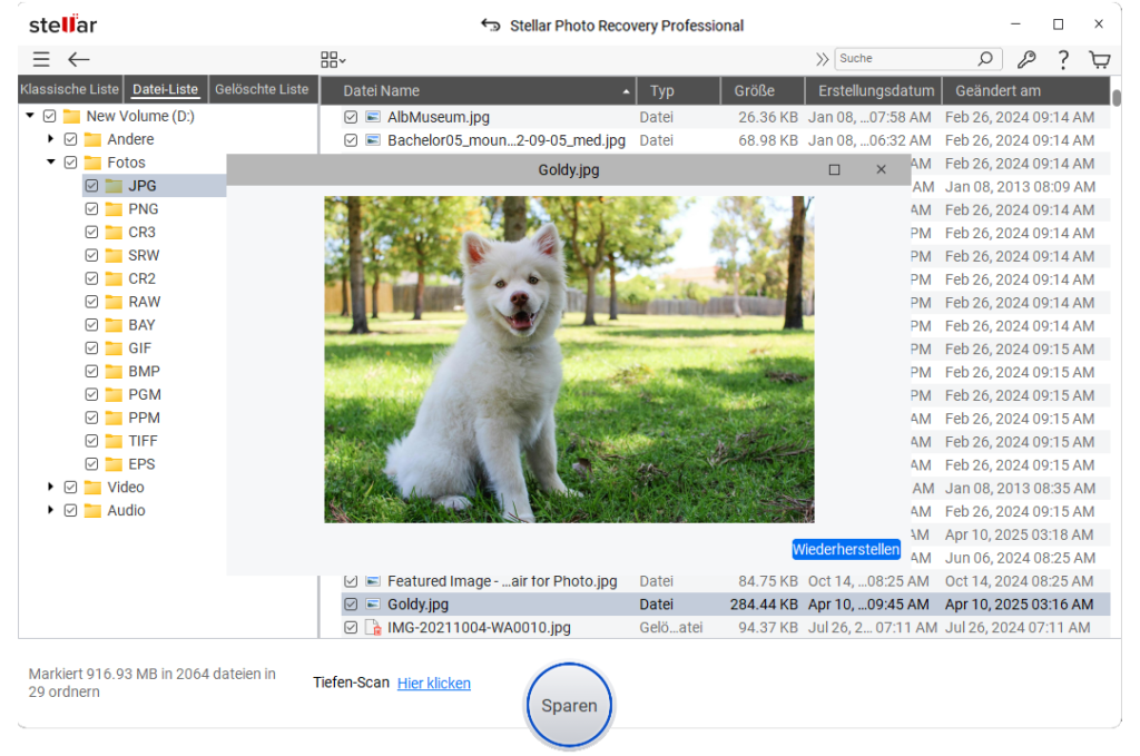 Stellar Photo Recovery