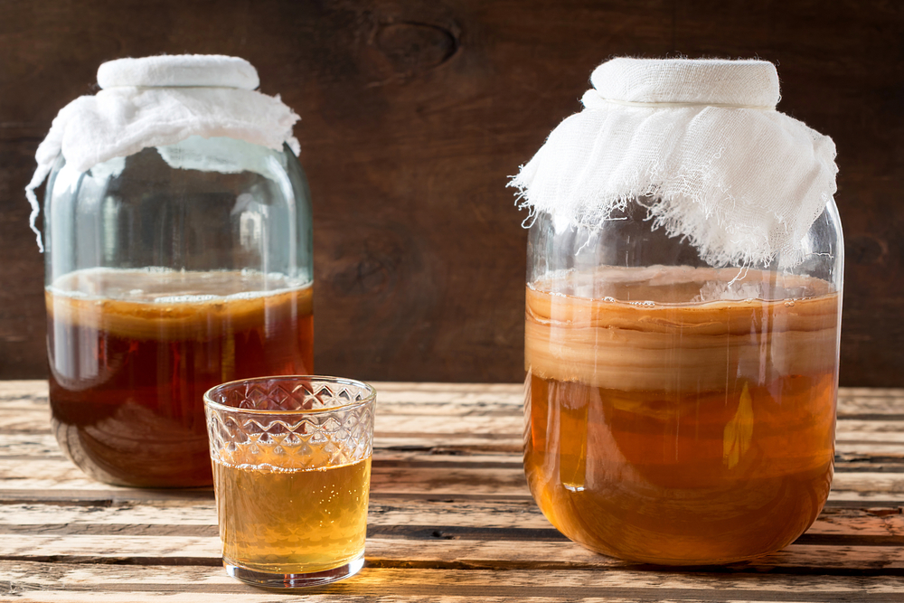 Kombucha einfach erklärt – Was Kombucha ist, wie es wirkt und warum es so beliebt ist kombucha